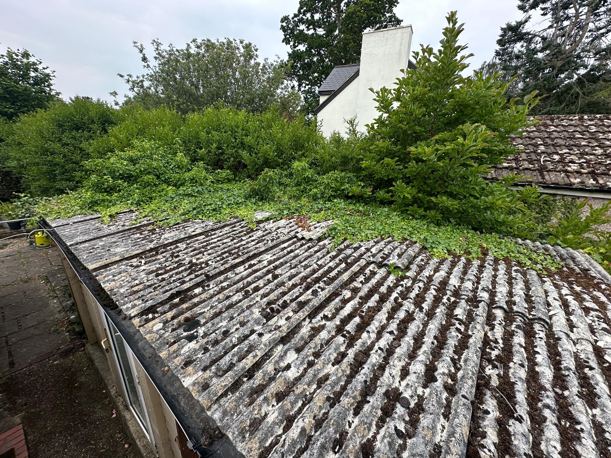 Before Guildford Roof Upgrade